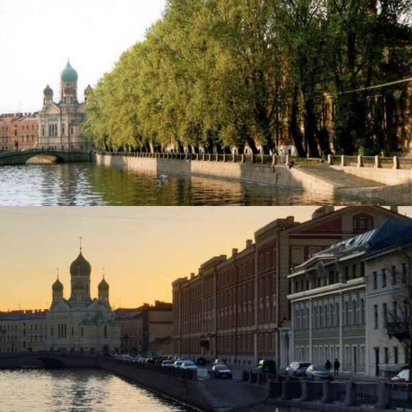 Как в Петербурге за 300 лет исчезли деревья