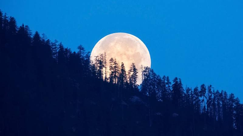 
Голубая Луна: финансовые обряды и особенности полнолуния 31 августа 2023 года                