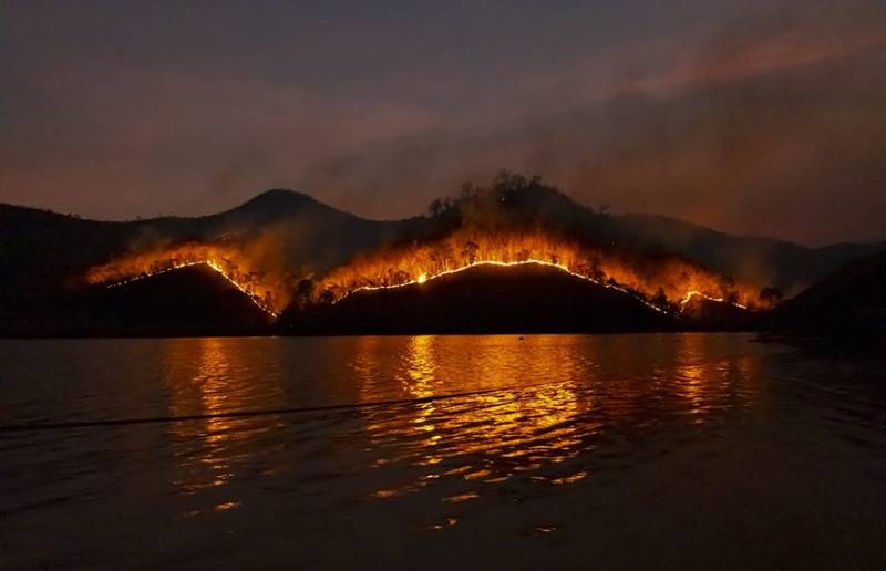 
Турция борется с неудержимыми лесными пожарами: эвакуированы более тысячи человек                