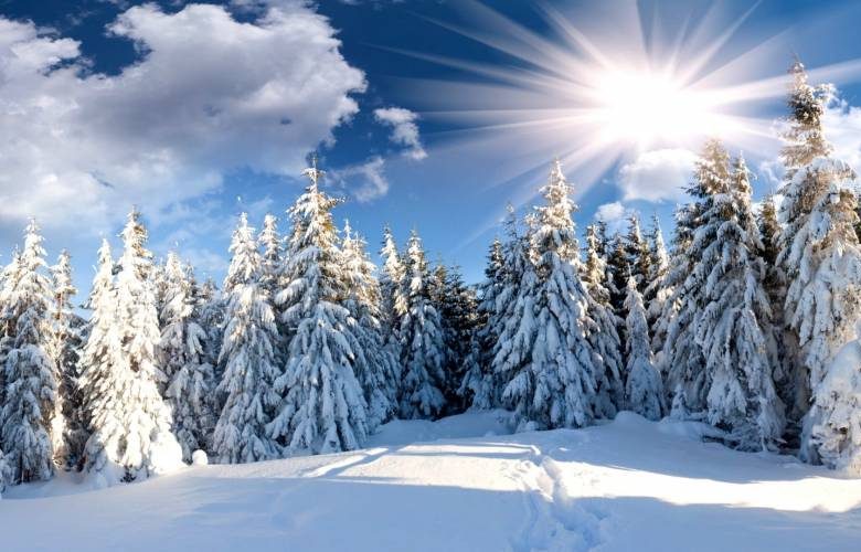 
Как на Руси в Сильвестров день 15 января по луку предсказывали погоду на каждый месяц года                