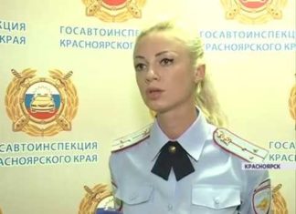 Какие документы для автошколы нужно подготовить?