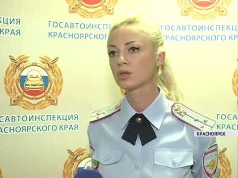 Какие документы для автошколы нужно подготовить?