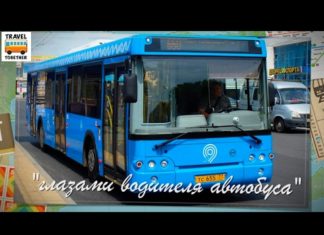 Водитель автобуса