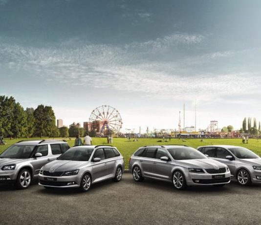 Автомобили марки Skoda: с каждым годом все больше и больше завоевывают доверие среди автолюбителей