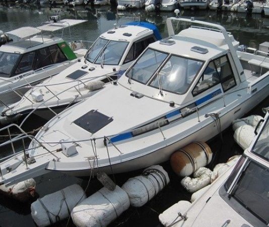 Водная техника и катера из Японии – как выбрать и купить