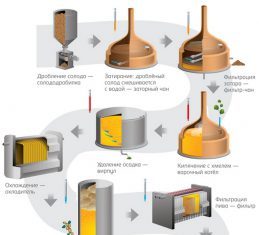 Промышленная технология производства пива