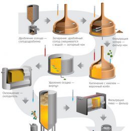 Промышленная технология производства пива