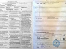 Почему важно проверять диагностическую карту техосмотра?