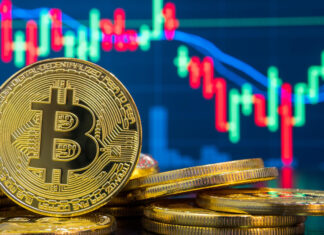 Почему игроки выбирают криптовалютное казино LTC?