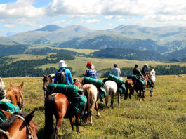 Особенности конного туризма