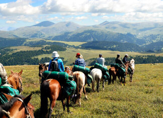 Особенности конного туризма