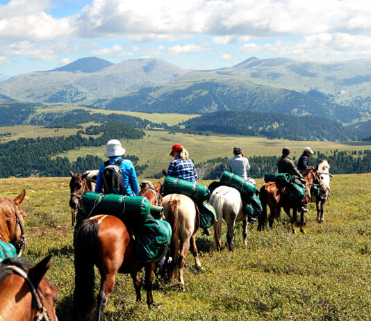 Особенности конного туризма