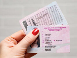 Как получить водительские права в 2022 году?