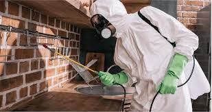 Для чего нужна дезинсекция?