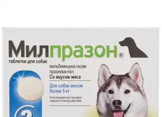 Антигельминтный препарат Милпразон для собак
