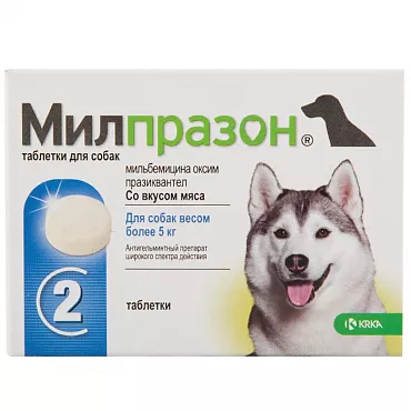 Антигельминтный препарат Милпразон для собак
