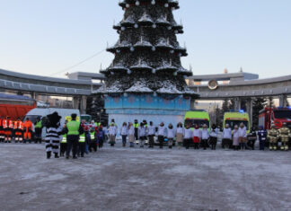 Массовый предновогодний флешмоб прошел в центре Тюмени