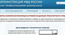 В 2022 году граждане воспользовались интерактивными сервисами официального сайта Госавтоинспекции более двух миллиардов раз