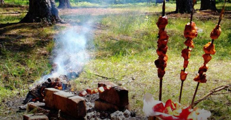 
Какие новые правила жарки шашлыков и сжигания листвы на дачных участках действуют в России в 2023 году                
