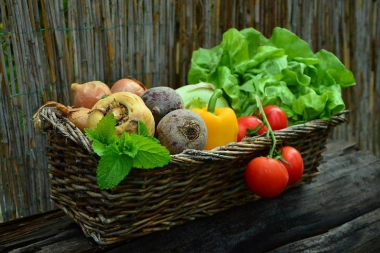 
Куда пропал вкус: ученые определили, почему некоторые овощи и фрукты из магазина абсолютно безвкусны                