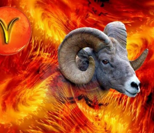 «Лучшие союзники»: какие знаки зодиака подходят Овнам