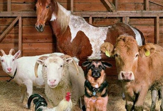 Народный праздник 27 марта 2023 года: почему в Венедиктов день старались не смотреться в зеркало