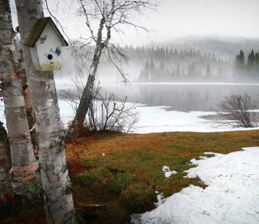 Почему в народный праздник Александров день 28 марта на Руси боялись ходить в лес