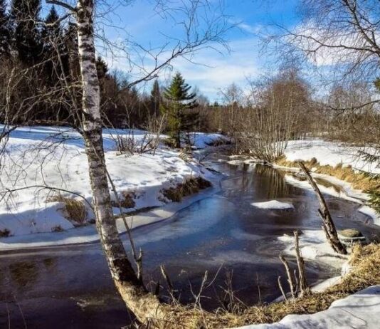 Приметы и поверья на 25 марта 2023 года