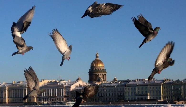
«Тройной праздник»: как 25 марта «приманить» удачу на всю жизнь                