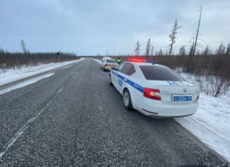 В Якутии сотрудники Госавтоинспекции оказали помощь семье, попавшей в сложную ситуацию на дороге