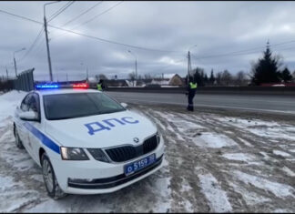 В Московской области сотрудники Госавтоинспекции пресекли попытку суицида