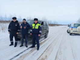 В Новгородской области автоинспекторы помогли отцу с детьми, оказавшимся в трудной ситуации на дороге