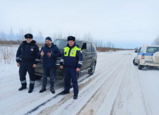 В Новгородской области автоинспекторы помогли отцу с детьми, оказавшимся в трудной ситуации на дороге