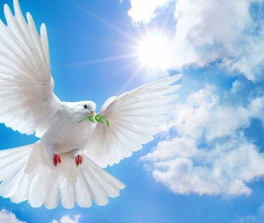 Благовещение 7 апреля имеет ряд запретов