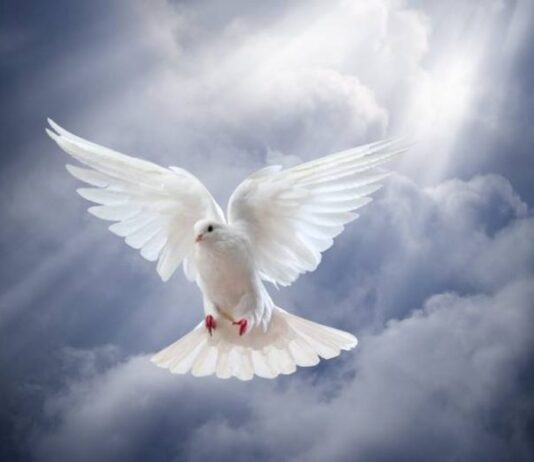 Что нужно обязательно сделать 6 апреля, в Предпразднство Благовещения Пресвятой Богородицы