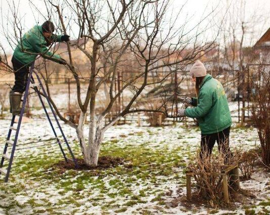 Можно ли работать на даче в Лазареву субботу