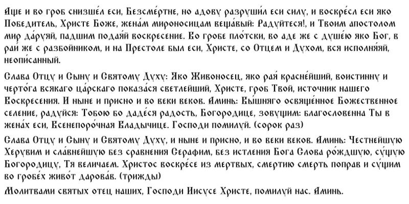 
Поливальный понедельник 17 апреля 2023 года: что можно и что нельзя делать                