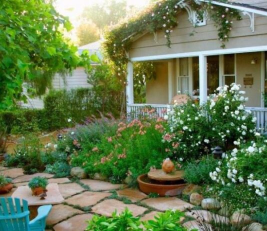 Самые стойкие: какие растения в саду и на огороде не страдают от дефицита ультрафиолета