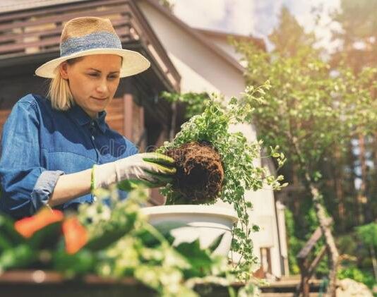 Список самых важных майских дел на даче