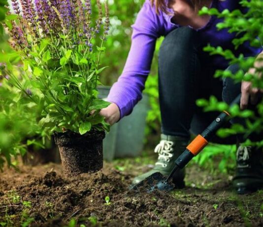 В какие дни категорически нельзя сажать огород по народным приметам