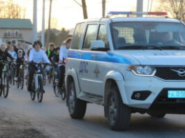 В Новгородской области участники велосипедного флешмоба продемонстрировали важность использования пассивных средств защиты