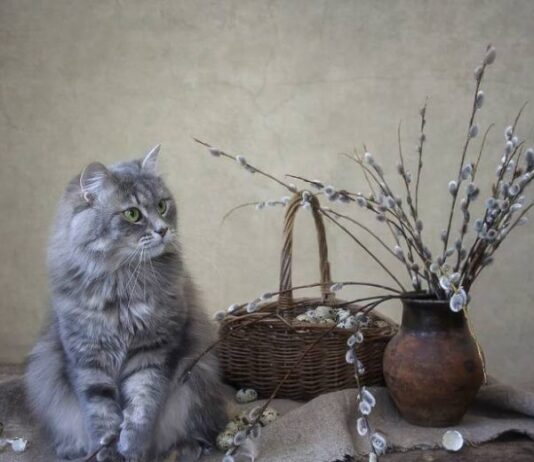 Вербное воскресенье 9 апреля 2023 года: мощные молитвы на любовь, удачу и деньги