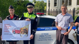 Белгородские автомобилисты поддержали профилактическую акцию «Сообщи о пьяном водителе»