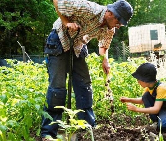 Десятки тысяч рублей: за что придется заплатить дачникам