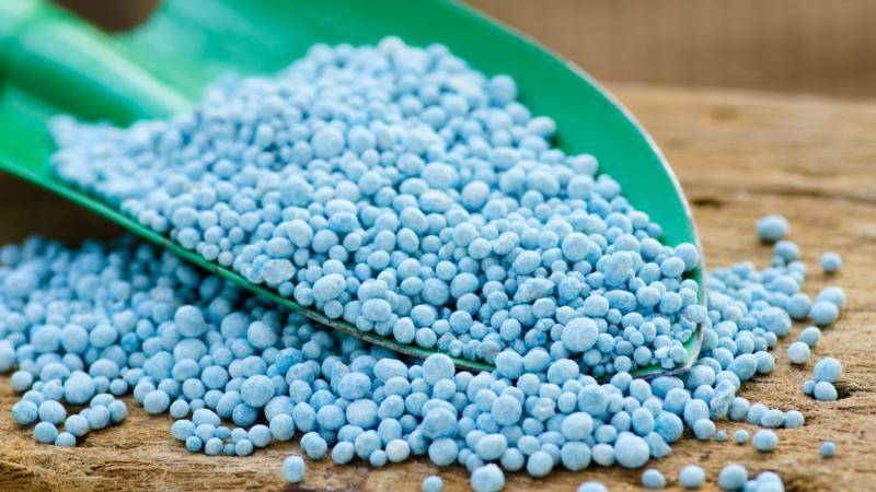 
Для богатого урожая: какое удобрение использовать при посадке картофеля                