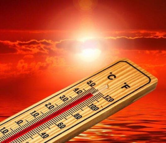 Какая погода ожидается в Москве, Петербурге, Сибири и на Урале во второй половине мая, прогноз синоптиков