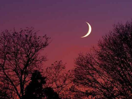 Магическое новолуние 19 мая 2023 года: главные задачи и запреты