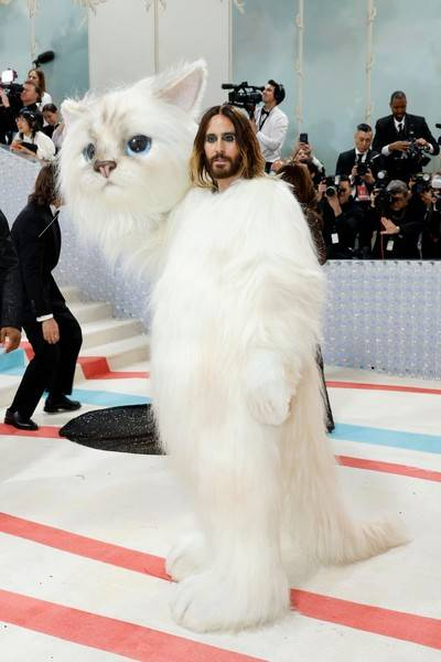 
«Met Gala-2023»: все модные образы бала Института костюма                