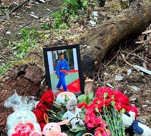 Сожженный заживо в день рождения: в Подмосковье в сарае нашли труп ребенка