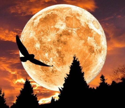 Чем опасно полнолуние 4 июня 2023 года, как справиться с эмоциями до и после этого события